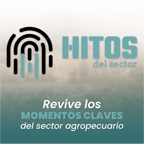 Hitos