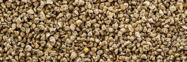 Tendencias y cambios en nutrición avícola alrededor del mundo