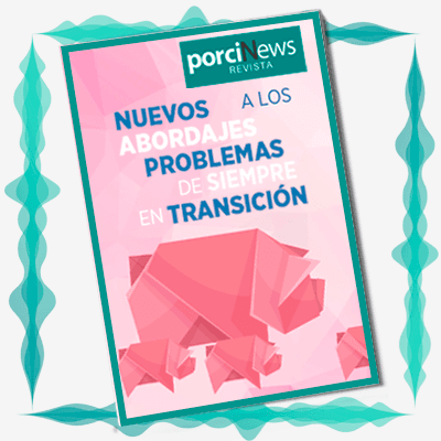 Nuevos abordajes a los problemas de siempre en transición
