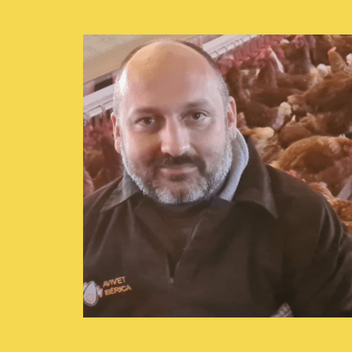 La avicultura alternativa ponedoras con el experto, Alberto Picchi