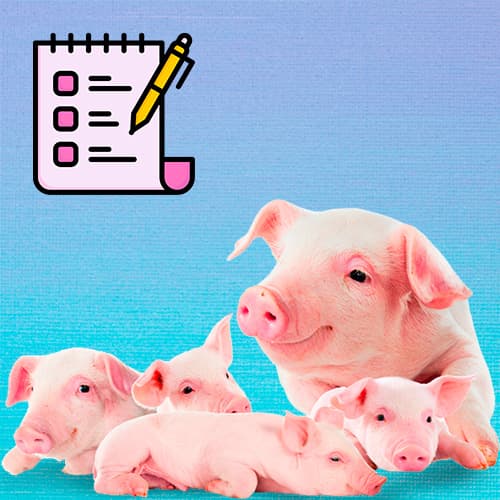 Nutrición temprana – Estrategias para un destete exitoso