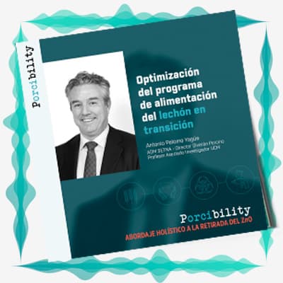 Optimización del programa de alimentación del lechón en transición