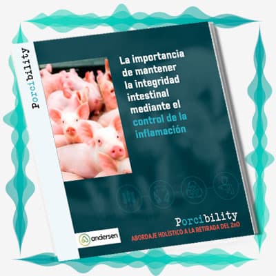 La importancia de mantener la integridad intestinal mediante el control de la inflamación