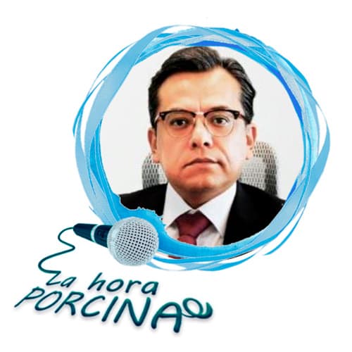 Sanidad y producción porcina en México, con César López Amador