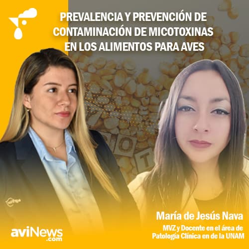 Micotoxinas: ¿Qué son? ¿Cómo las prevenimos? Por María de Jesús Nava