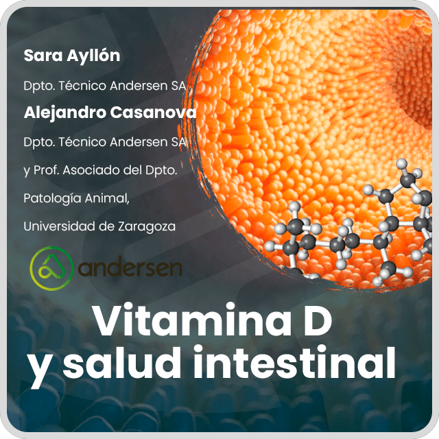 Vitamina D y salud intestinal