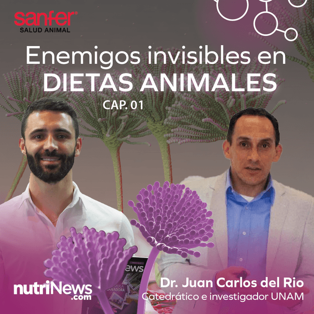 Micotoxinas: enemigos invisibles en dietas animales. Capítulo 1, con Juan Carlos del Río