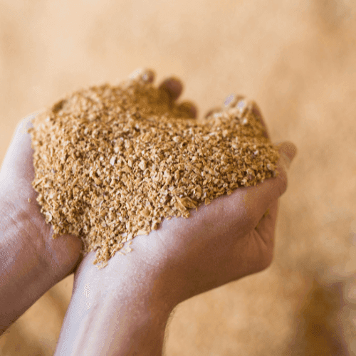 Sostenibilidad, valor nutricional y económico de la soja según el origen