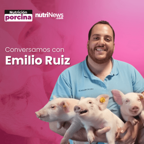 ¿El SECTOR PORCINO en España es SOSTENIBLE? 🐖, con Emilio Ruiz
