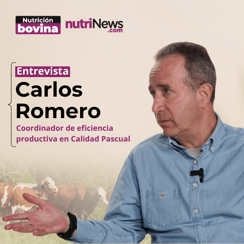 EFICIENCIA ALIMENTICIA en VACUNO LECHERO, con Carlos Romero