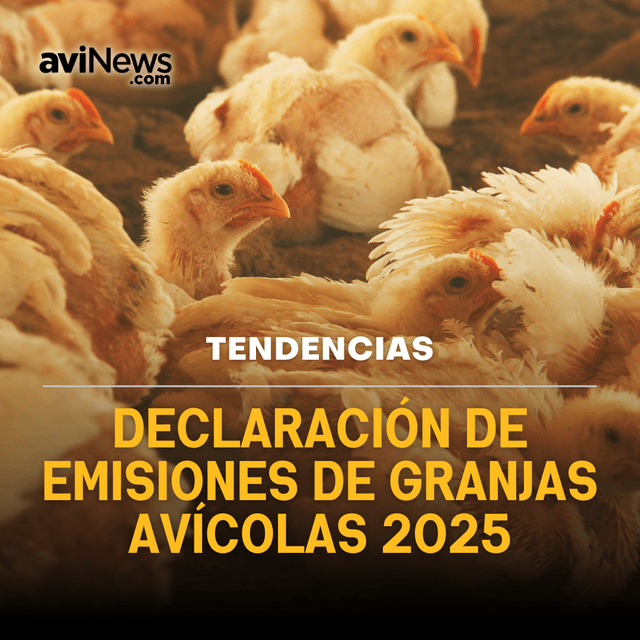 Emisiones de CO2, Influenza aviar y Ofertas corporativas: Informativo Semanal AviNews España