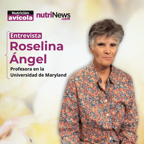 Necesitamos MIGRAR a un SISTEMA de Ca y P DIGESTIBLE, con Roselina Ángel