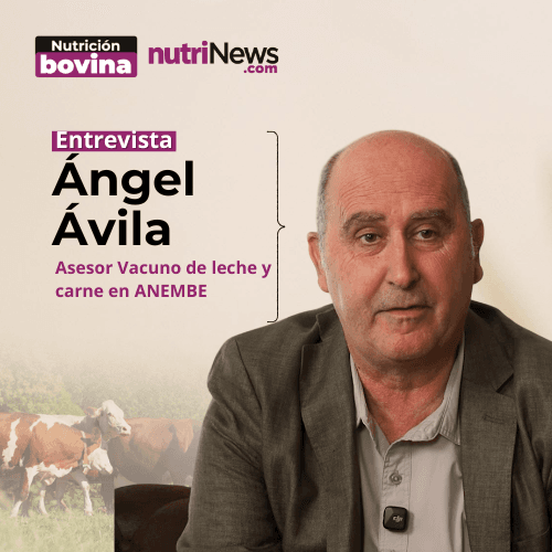 ROBOTS de ORDEÑO y NUTRICIÓN de VACAS LECHERAS con Ángel Ávila