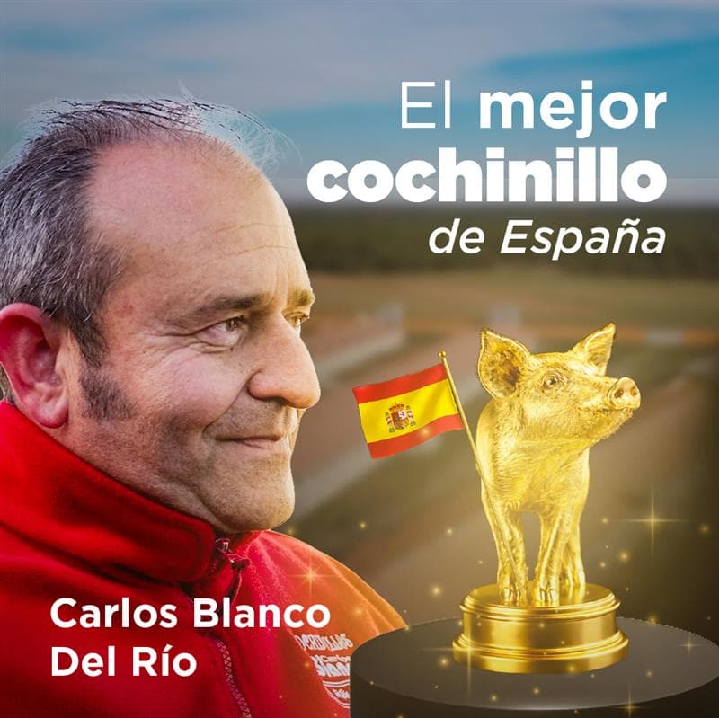 ¿CÓMO se PRODUCE el MEJOR COCHINILLO de ESPAÑA?