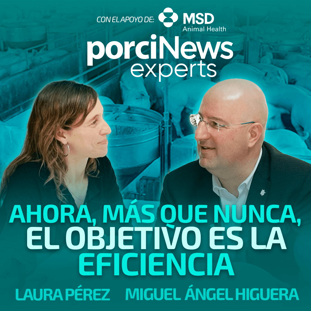 AHORA, MÁS QUE NUNCA, EL OBJETIVO ES LA EFICIENCIA