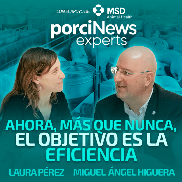 AHORA, MÁS QUE NUNCA, EL OBJETIVO ES LA EFICIENCIA