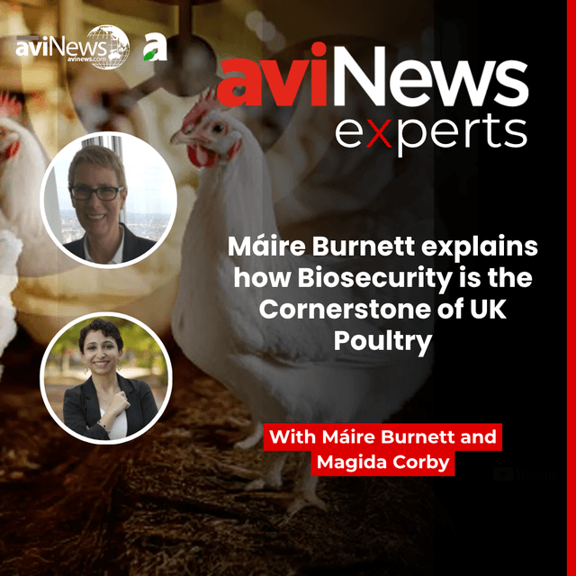 Máire Burnett explains how Biosecurity is the Cornerstone of UK Poultry