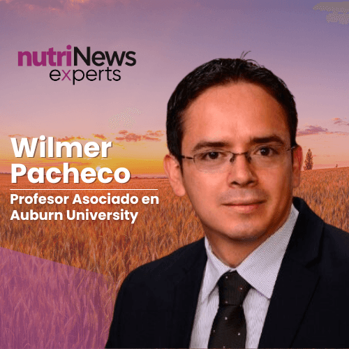 Procesos de FABRICACIÓN del ALIMENTO para CONSUMO ANIMAL, con el Dr. Wilmer Pacheco