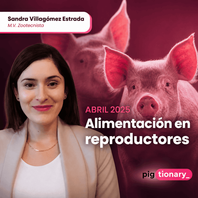 Nutrición Porcina – Alimentación en reproductores
