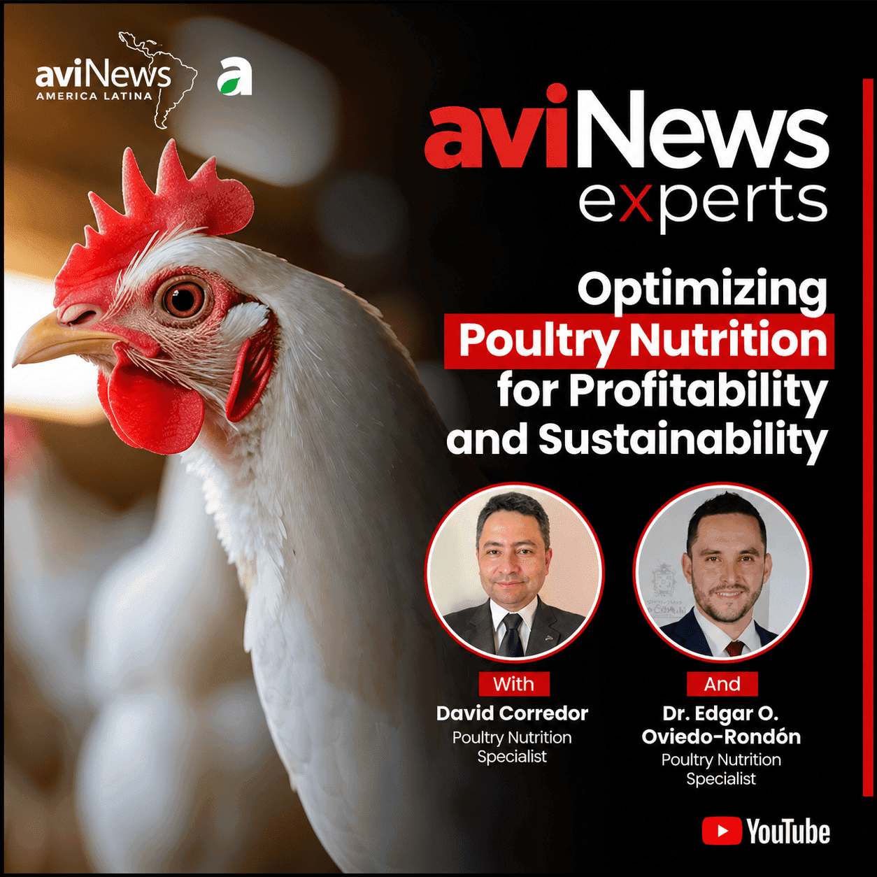 Interview with Dr. Edgar Oviedo: “How Can Poultry Nutrition be Optimized to Seek Profitability?”