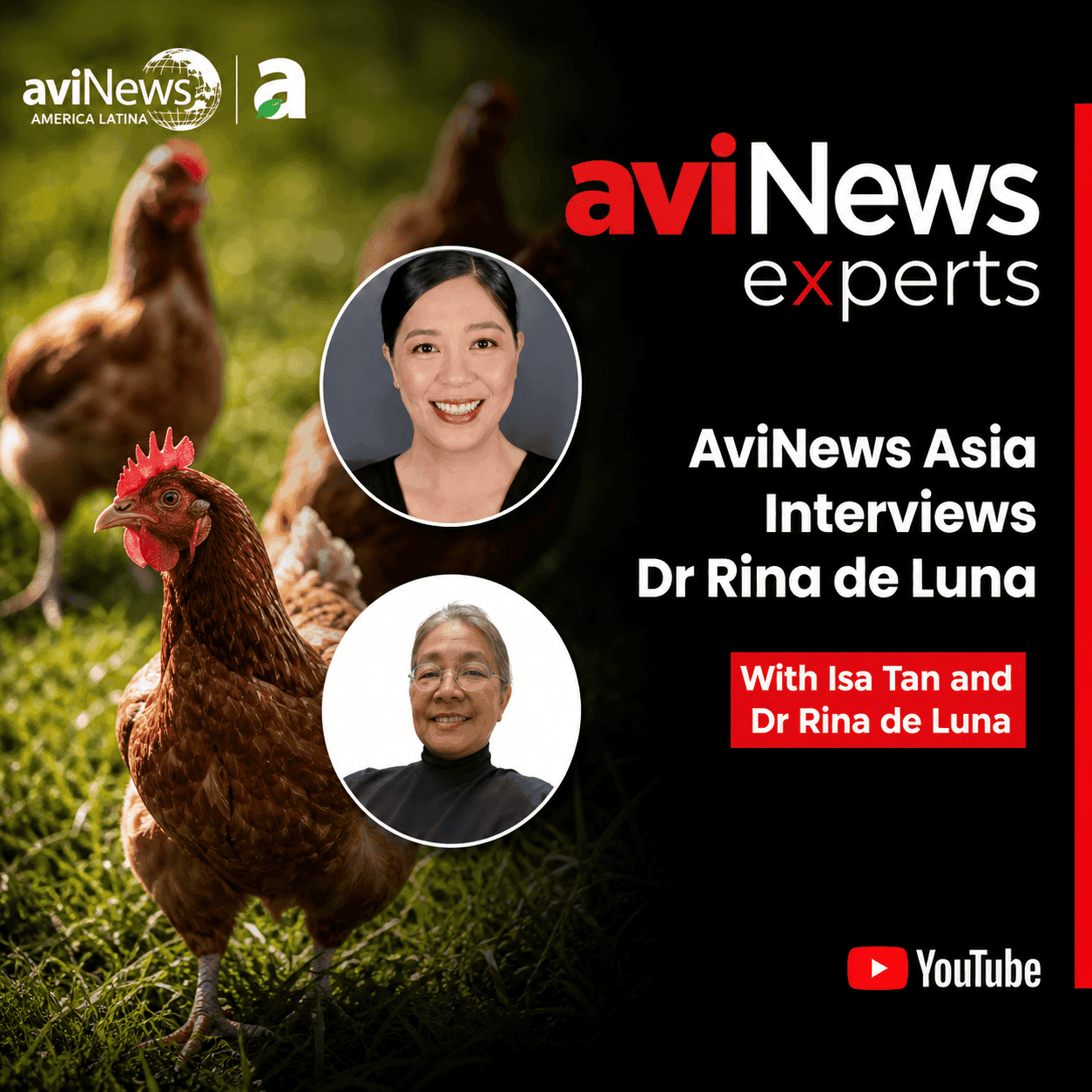 Cage-free transition in Asia: Insights from Dr Rina de Luna