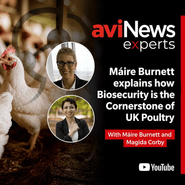 Máire Burnett explains how Biosecurity is the Cornerstone of UK Poultry