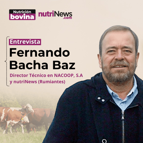 Cómo el MICROBIOMA RUMINAL mejora el aprovechamiento proteico, con Fernando Bacha