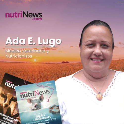 CARBOHIDRATOS en las DIETAS de GATOS DOMÉSTICOS: ¿Enemigos o aliados?, con Ada E. Lugo