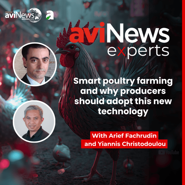 Smart poultry farming and why producers should adopt this new technology
