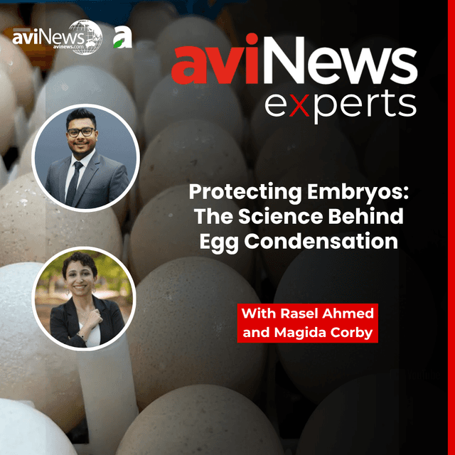 Protecting Embryos: The Science Behind Egg Condensation