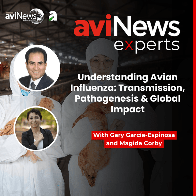 Understanding Avian Influenza: Transmission, Pathogenesis & Global Impact