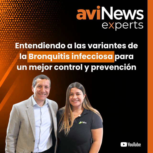 Bronquitis infecciosa aviar: cómo controlar las variantes y mejorar la prevención | Rodrigo Gallardo