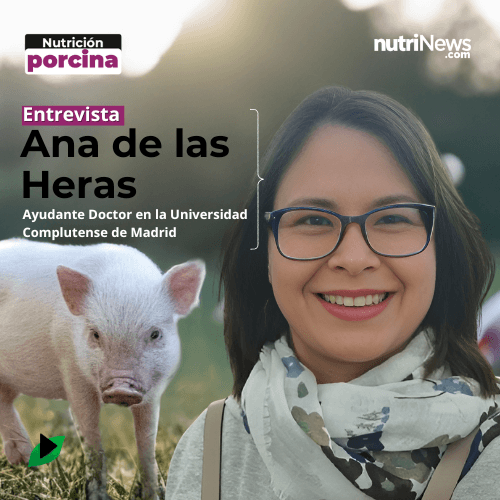 Reducir ESTRÉS OXIDATIVO en CERDAS: SUPLEMENTACIÓN PERINATAL, con Ana de las Heras