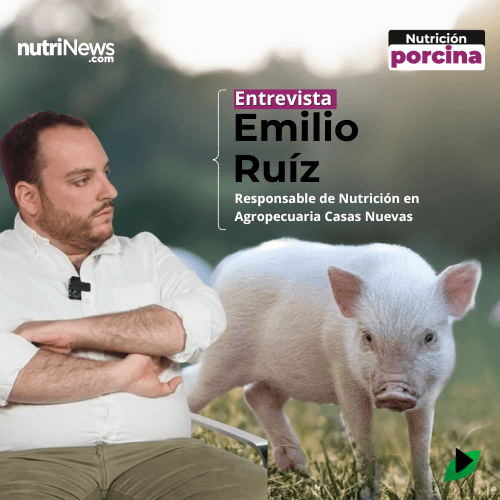¿El SECTOR PORCINO en España es SOSTENIBLE?, con Emilio Ruiz