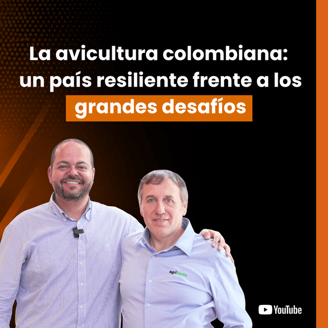 La avicultura colombiana: un país resiliente frente a los grandes desafíos | Gonzalo Moreno