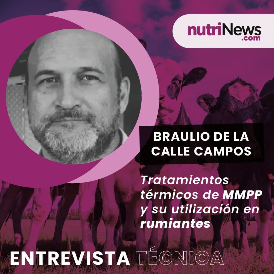 Conversamos con Braulio de la Calle Campos, sobre tratamientos térmicos de MMPP