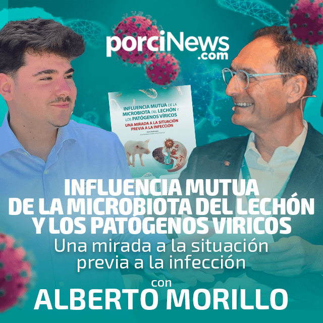Influencia mutua de la microbiota del lechón, con Alberto Morillo