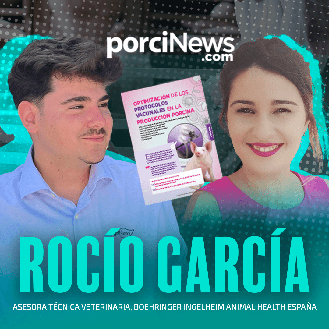 Optimización de los protocolos vacunales en la producción porcina, con Rocío García