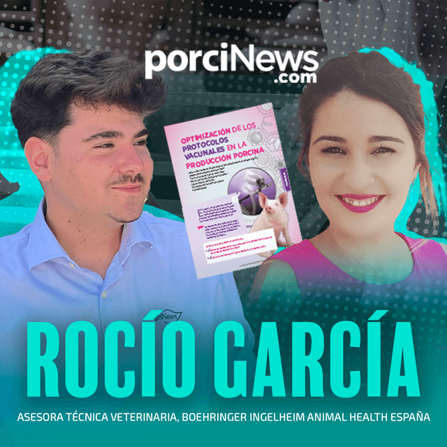 Optimización de los protocolos vacunales en la producción porcina, con Rocío García