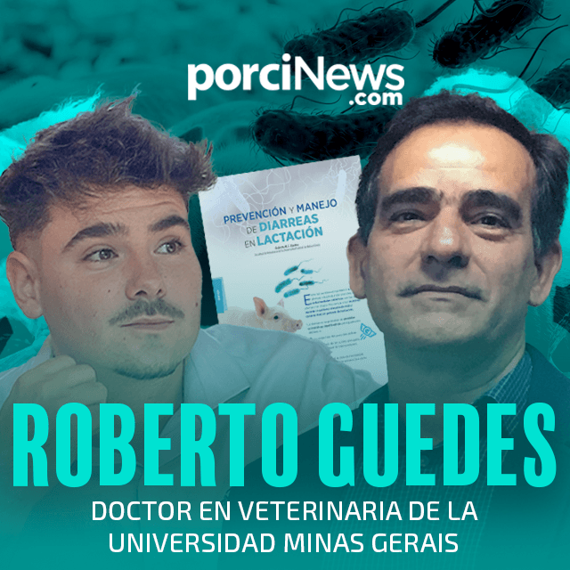 Prevención y manejo de diarreas en lactación, con Roberto Guedes