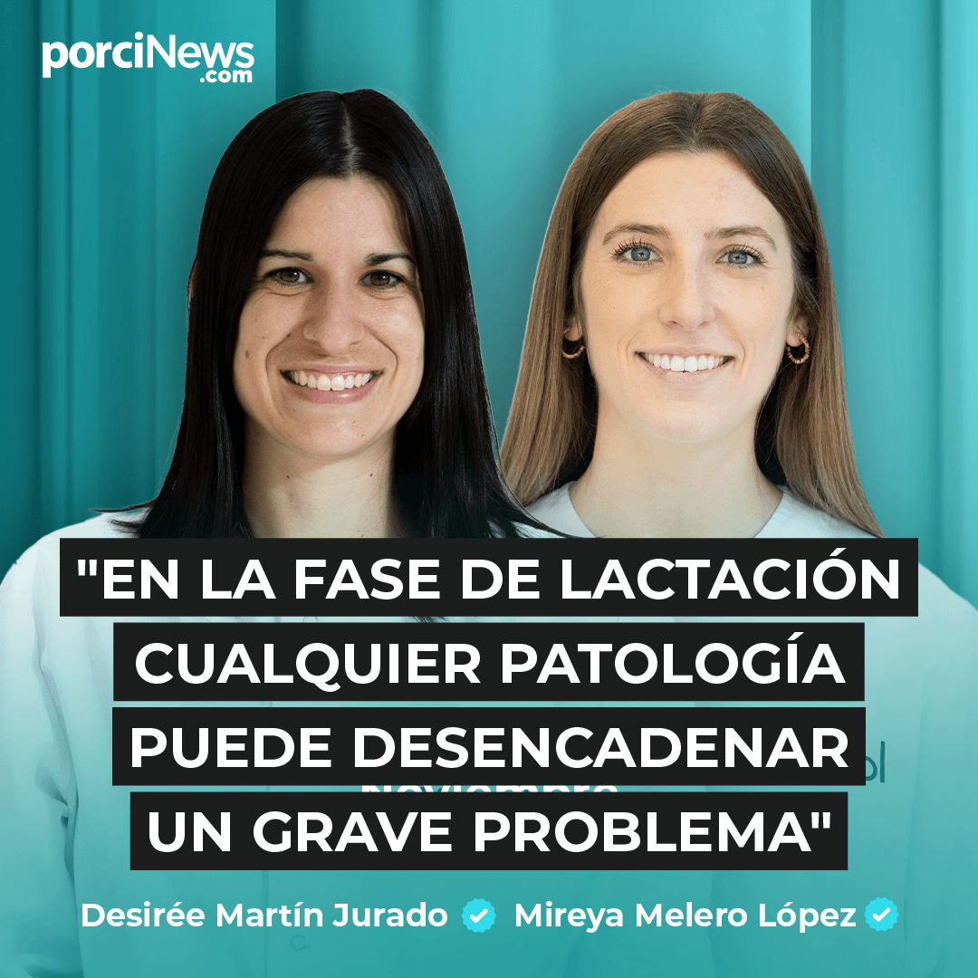 DIAGNÓSTICO de las PATOLOGÍAS INFECCIOSAS en LECHONES, con DESIRÉE MARTÍN y MIREYA MELERO