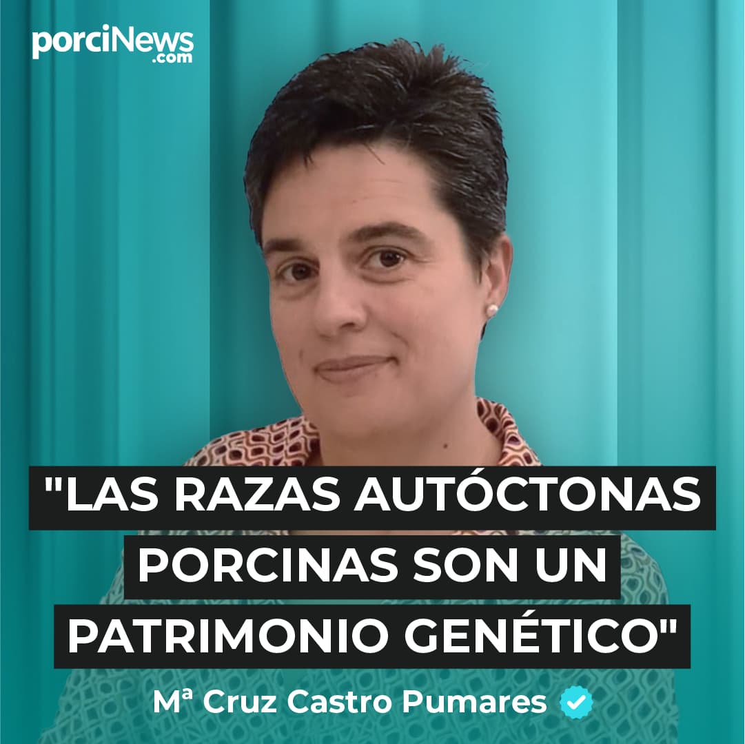 Todo sobre ASOPORCEL y el PORCO CELTA, con Mª CRUZ CASTRO