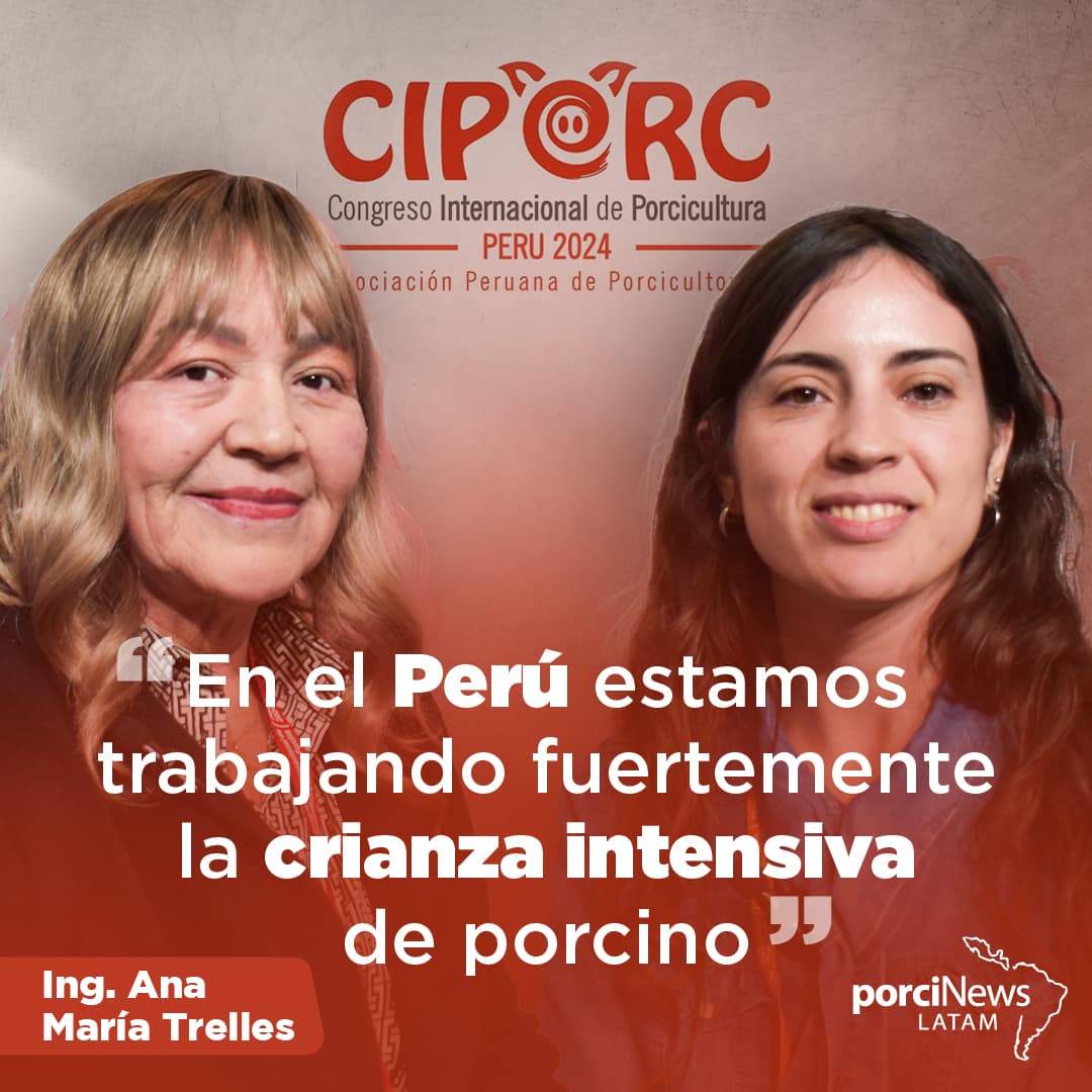 ¿CÓMO ha EVOLUCIONADO el SECTOR PORCINO del PERÚ? Con ANA MARÍA TRELLES | CIPORC 2024