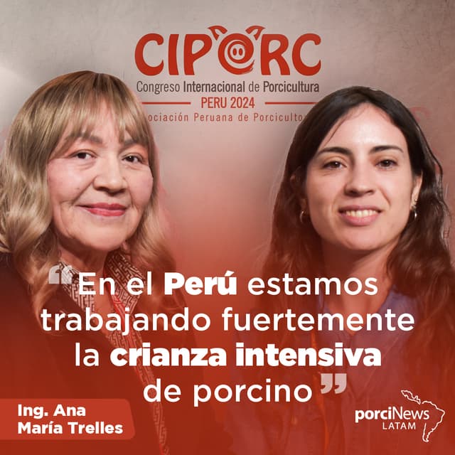 ¿CÓMO ha EVOLUCIONADO el SECTOR PORCINO del PERÚ? Con ANA MARÍA TRELLES | CIPORC 2024