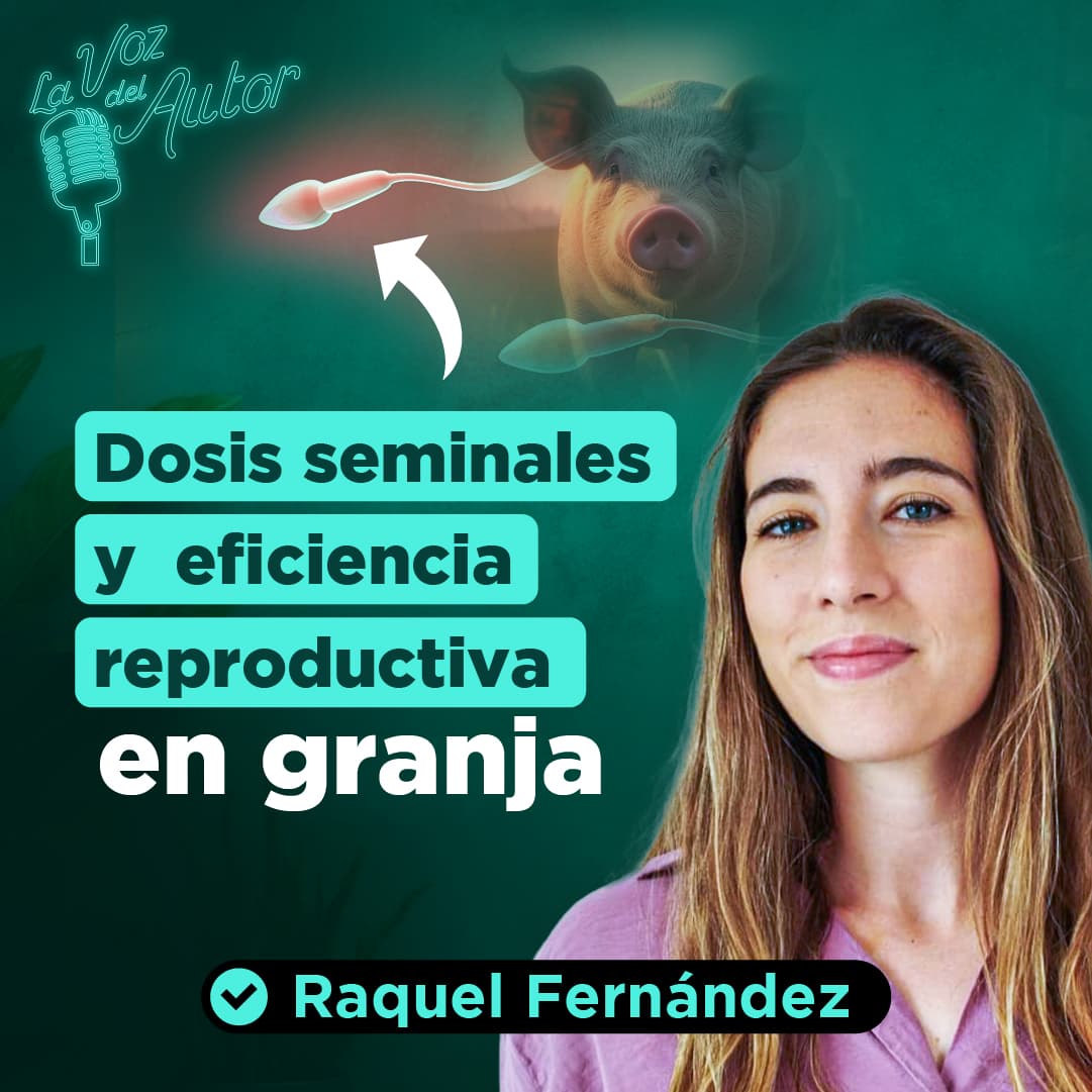 ¿CÓMO influyen las DOSIS SEMINALES en la REPRODUCCIÓN PORCINA?