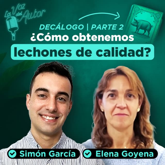 ¿CÓMO podemos OBTENER LECHONES de CALIDAD? | Parte 2
