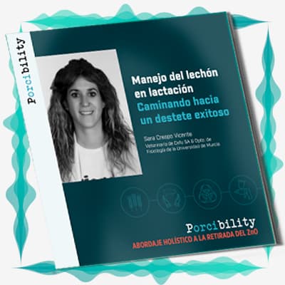 Manejo del lechón en lactación – Caminando hacia un destete exitoso