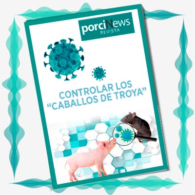 Controlar los «Caballos de Troya» en las explotaciones porcinas