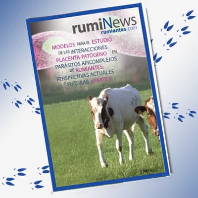 Modelos para el estudio de las interacciones placenta-patógeno en parásitos apicomplejos