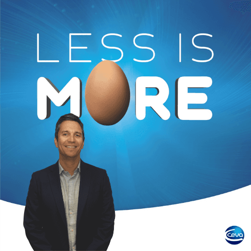 ¿Qué significa «Less is more» ? Jaime Sarabia nos lo cuenta